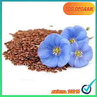 Льон насіння 2025р. (500г)