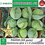 Капуста рання, Моналіза F1 / Monalisa F1, ТМ Sakata (Японія), 1000 насінин, фото 2