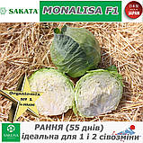 Капуста рання, Моналіза F1 / Monalisa F1, ТМ Sakata (Японія), 1000 насінин, фото 3