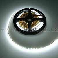 Світлодіодна стрічка 3528 білий 120 шт/м, 1м, фото 2