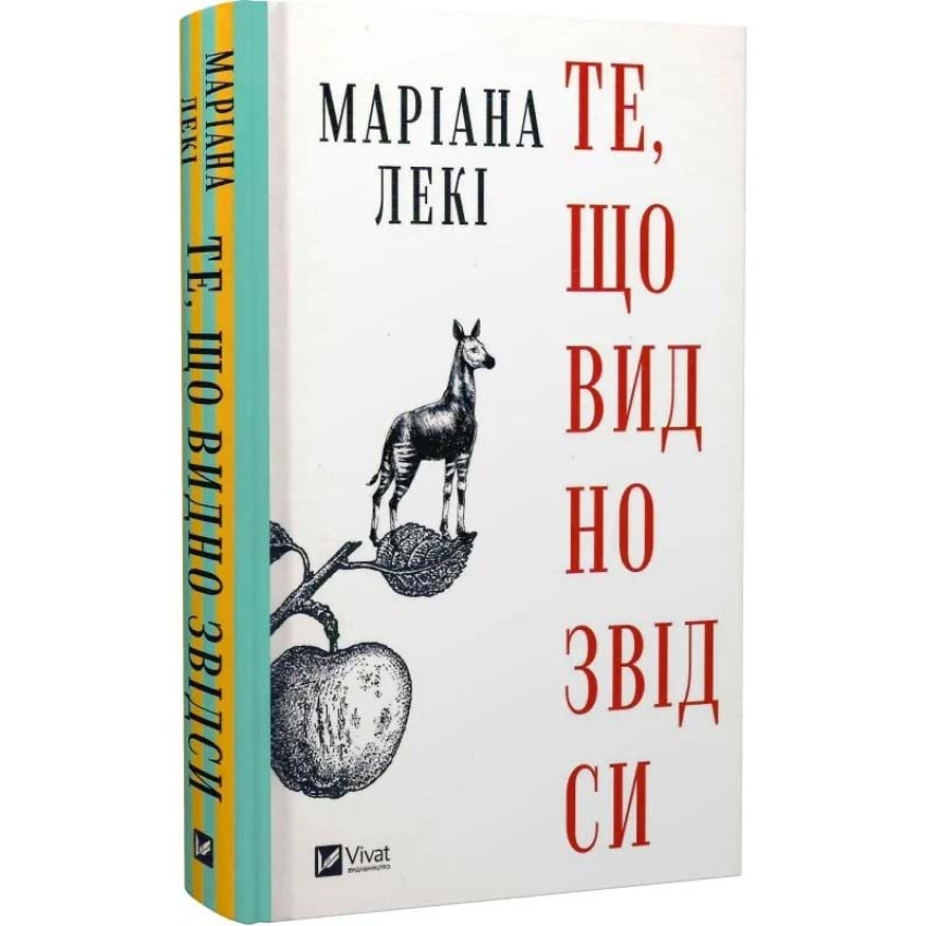 Книга Те, що видно звідси. Маріана Лекі, фото 1