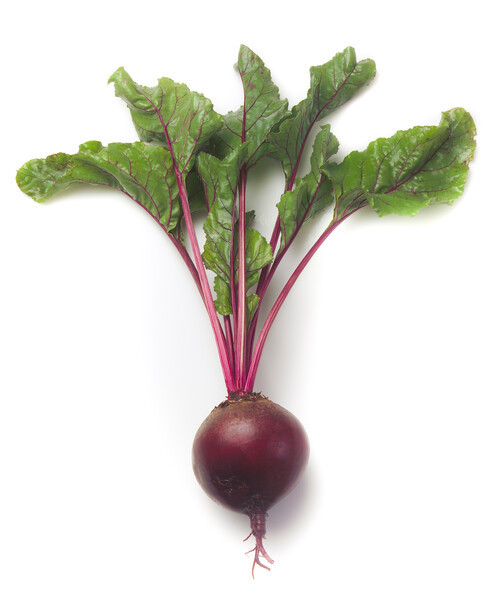 Насіння буряка Зеппо РЗ F1 (Zeppo RZ F1) Rijk Zwaan 100000 2,75-3,5