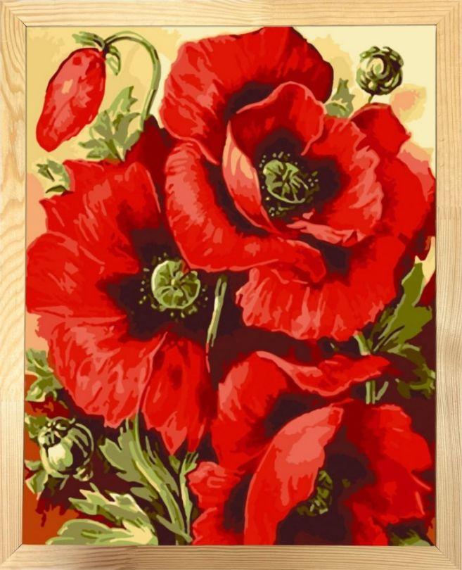 Картини за номерами ArtCraft Маковий цвіт з багетною рамкою (ACR-13129-ACF) 40 х 50 см, фото 1