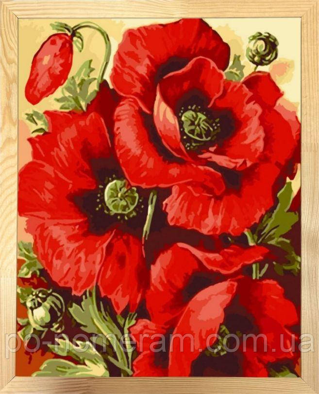 Новинка Картина за номерами ArtCraft Маковий цвіт з багетною рамкою (ACR-13129-ACF) 40 х 50 см, фото 1