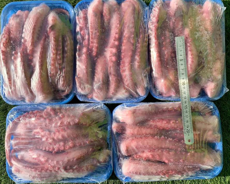 Щупальця гігантського кальмара привареноморожені