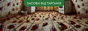 Кошти від тарганів та їх види