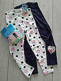 Дитячі лосіни легінси Peppa Pig на дівчинку р.98-104 - 2-4 роки, 76033, набір 2 шт., фото 3