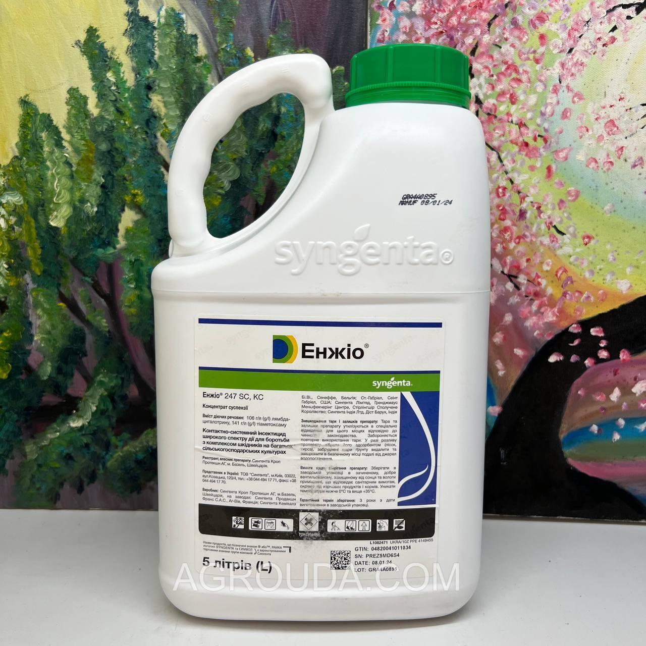 Інсектицид Енжіо (Syngenta) 5л