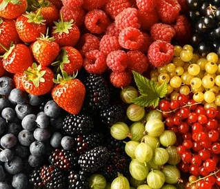 ТОП-40 ЛІДЕР ПРОДАЖ