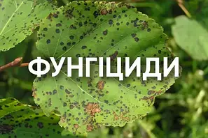 ВІД ХВОРОБ (ФУНГІЦИДИ)
