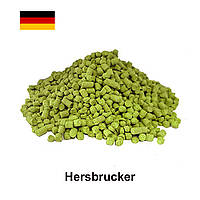 Хміль Херсбрукер (Hersbrucker) α-3,2%, 1 г