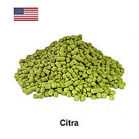 Хміль Цитра (Citra) α-12,3%, 1 г