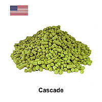Хміль Каскад США (Cascade) α-4.8%, 1 г