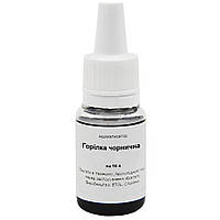 Ароматизатор Горілка чорнична на 10 літрів