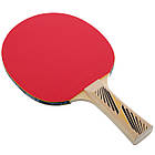 Ракетка для настільного тенісу DONIC Legends 300 FSC MT-705234, фото 4