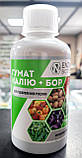 Добриво Гумат Калію + Бор (стимулятор росту) Enzim Agro 200 мл, фото 2