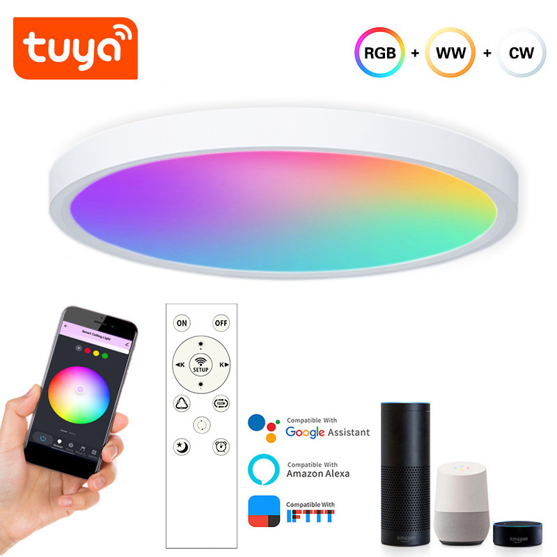Розумний стельовий світильник 1DAL | Wi-Fi + BLE пульт, RGBCW, 24W (SLP24W)