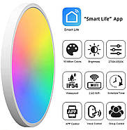 Розумний стельовий світильник 1DAL | Wi-Fi + BLE пульт, RGBCW, 24W (SLP24W), фото 8