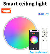 Розумний стельовий світильник 1DAL | Wi-Fi + BLE пульт, RGBCW, 24W (SLP24W), фото 9