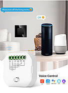 Розумне реле освітлення 1DAL | Двоканальний Wi-Fi + BLE вимикач smart (SW201N), фото 9