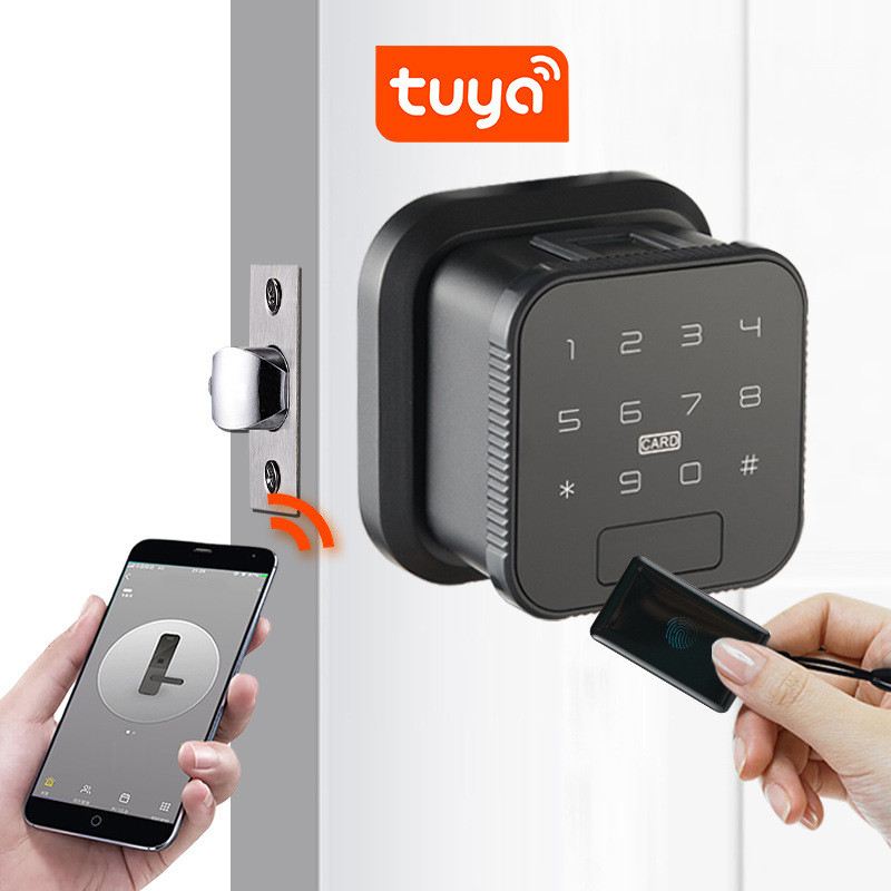 Біометричний дверний замок NaviCat Q3 електронний з підтримкою програми TUYA Black (3_05124)