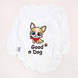 Набір в пологовий інтерлок боді повзуни Pets, фото 2