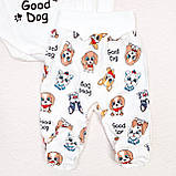 Набір в пологовий інтерлок боді повзуни Pets, фото 4
