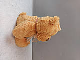 М'які іграшки Б/У Blokker Let's Play knuffel Teddy — 22 cm, фото 6