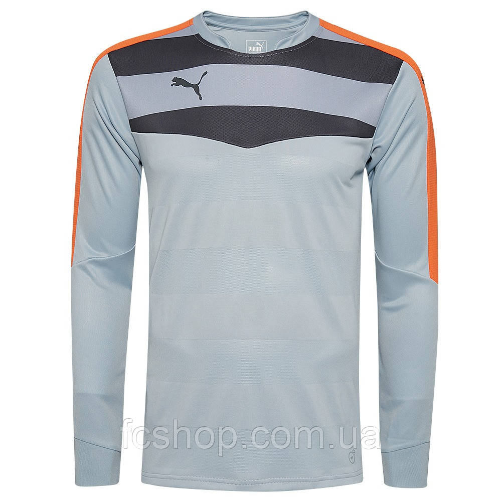 Чоловічий воротарський реглан PUMA Stadium GK 702089-35, Сірий, Розмір (EU) — L