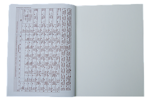 Щоденник ZiBi А5 / м. обл. лак / Fashion, фото 5