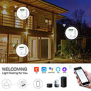Умное реле освещения 1DAL | Двухканальный WiFi + BLE диммер smart (SWD201N), фото 5