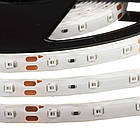 Світлодіодна стрічка SMD 2835 (60 LED/м), синій, IP20, 12В бобіни від 5 метрів, фото 4