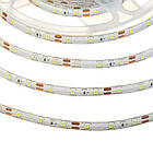 Світлодіодна стрічка SMD 3528 (60 LED/м), білий, IP65, 12В бобіни від 5 метрів, фото 4