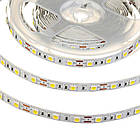 Світлодіодна стрічка SMD 5050 (60 LED/м), білий, IP65, 12В бобіни від 5 метрів, фото 4