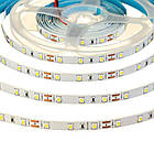 Світлодіодна стрічка AVT PROFESSIONAL SMD 2835 (60 LED/м), білий, IP20, 12В - бобіна від 5 метрів, фото 4