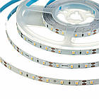 Світлодіодна стрічка MOTOKO PREMIUM SMD 2835 (60 LED/м), білий, IP20, 12В - бобіни від 5 метрів, фото 4