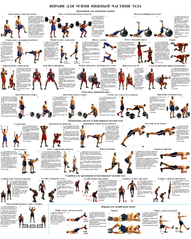 Вправи для м'язів нижньої частини тіла 50*64.6 см, фото 1