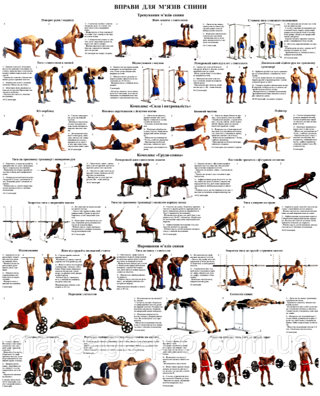 Плакат із вправами для спини 50*64.6 см, фото 1