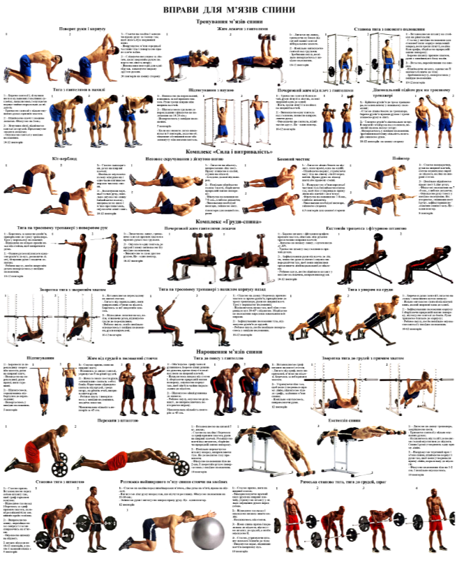 Силові Вправи рук та плечей 50*64.5 см, фото 1