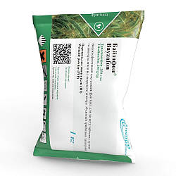 Системний фунгіцид для кавуна, дині, гарбуза, винограду, зернових БАЙЗАФОН Хімагромаркетинг 1 кг