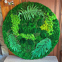 Композиційне панно з моху та папороті