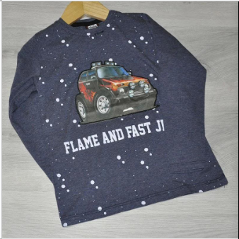 Дитячий реглан "Flame and Fast", трикотаж, для хлопчиків, (5-6; 7-8 років), з малюнком