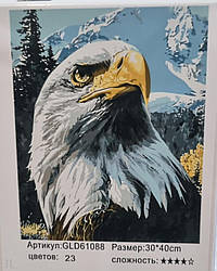 Алмазний живопис 30х40 GLD61088 у картонній коробці