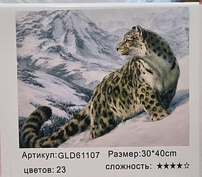 Алмазний живопис 30х40 GLD61107 у картонній коробці