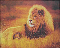 Картина-раскраска по номерам на холсте 40*50 RA3861 "Лев" (н-р акр.красок+3 кисти)