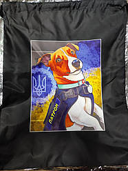 Мішок для взуття 420-3 "Пес Патрон" непромокальний 34*43 см (уп-12шт)