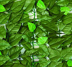 Декоративне зелене покриття Engard Молоде листя 100x300 см