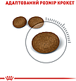 Сухий корм Royal Canin Hair & Skin для котів для підтримки здоров'я та краси шкіри та шерсті, 4 КГ, фото 5