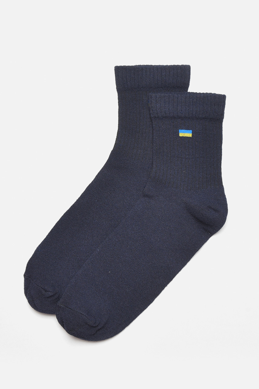 Шкарпетки чоловічі демісезонні темно-синього кольору р.43/44 184283S, фото 1