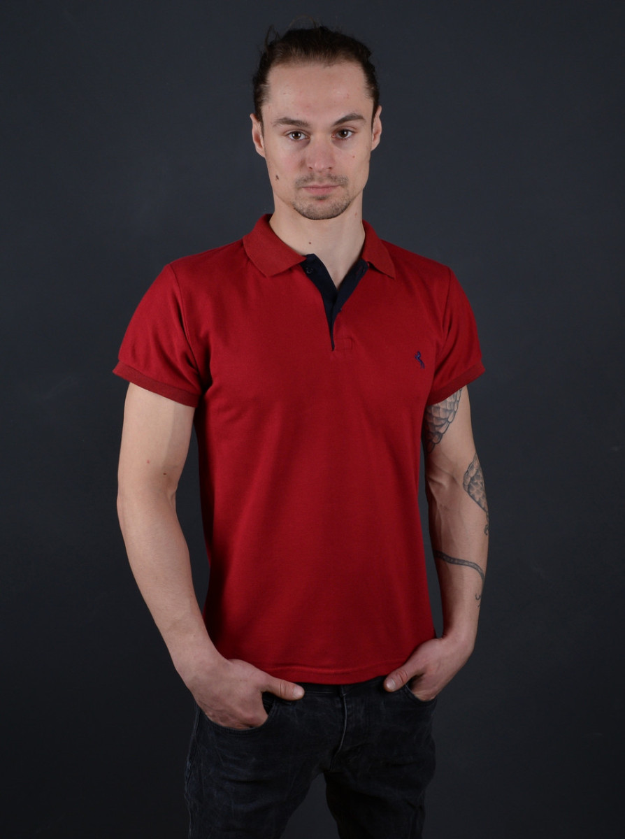 Чоловіча футболка поло бордова Туреччина 56108 2XL код ID 4801145